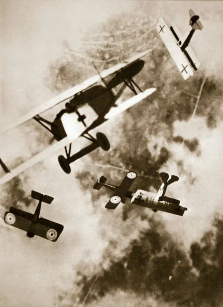 Creatures of Air
