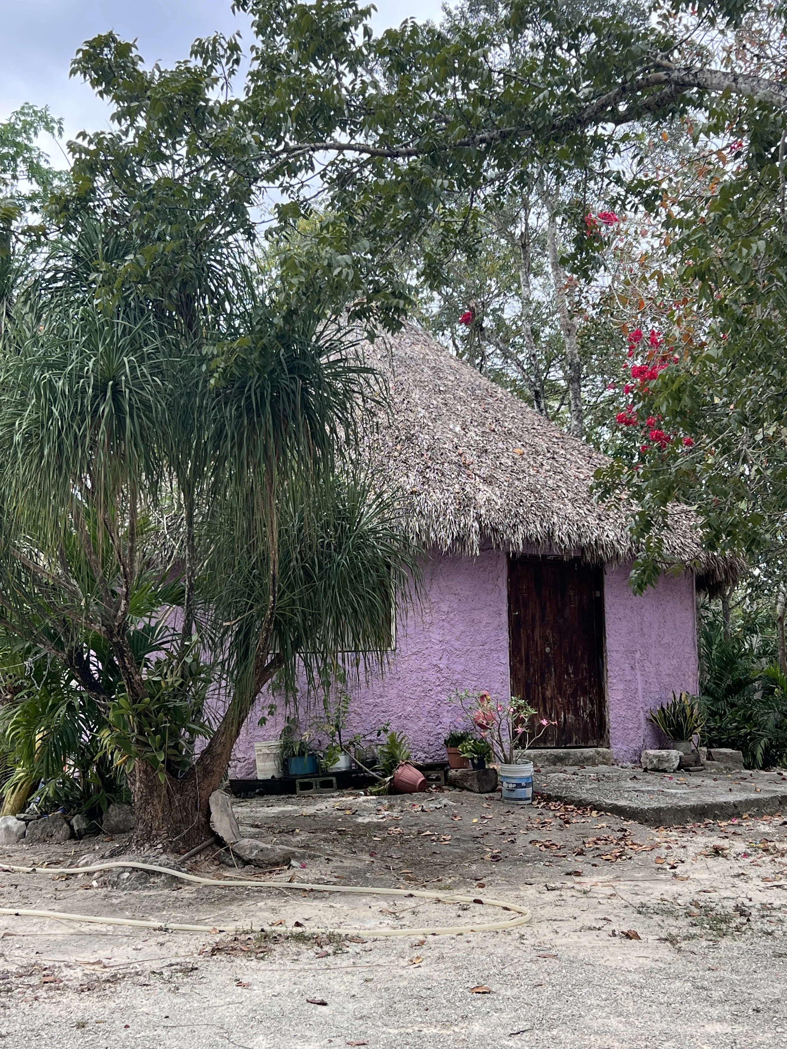 Mexico2.jpg