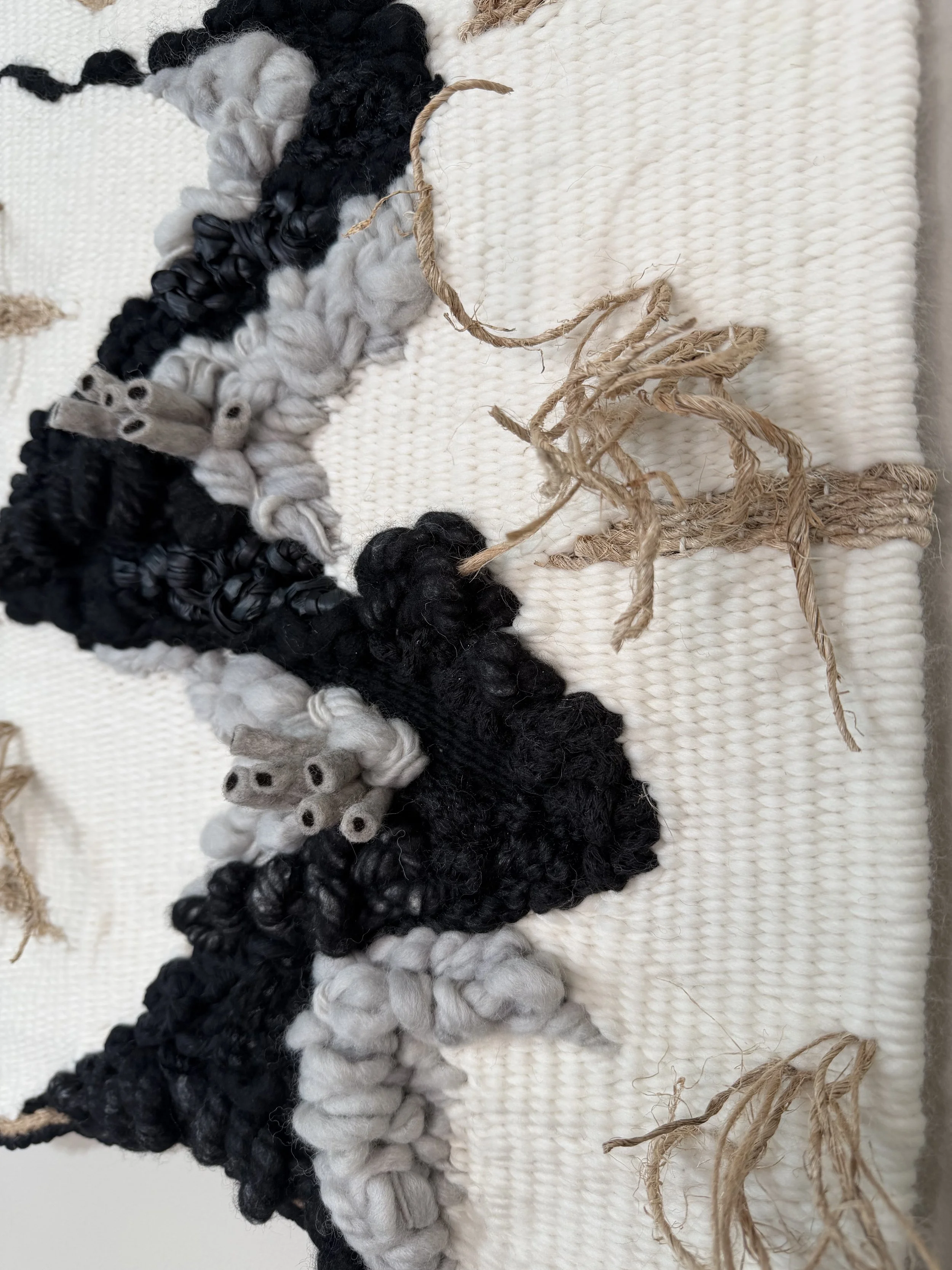 Winter Detail.jpg