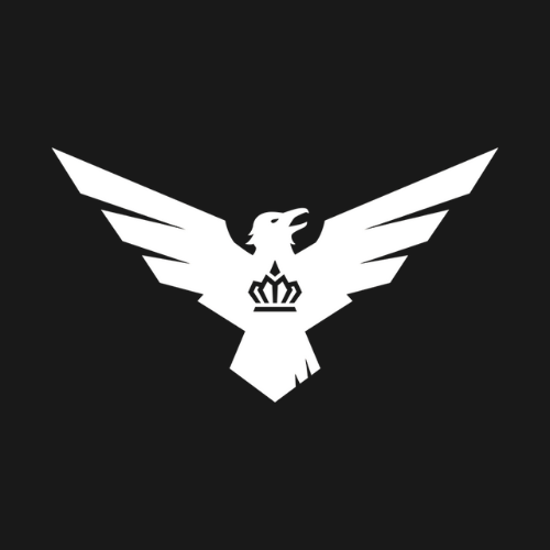 Carolina Royal Ravens - Professional Call of Duty League Franchise in Charlotte, North Carolina.