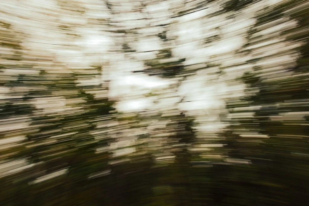 Blurred motion photo of trees and sky, creating a swirling effect.