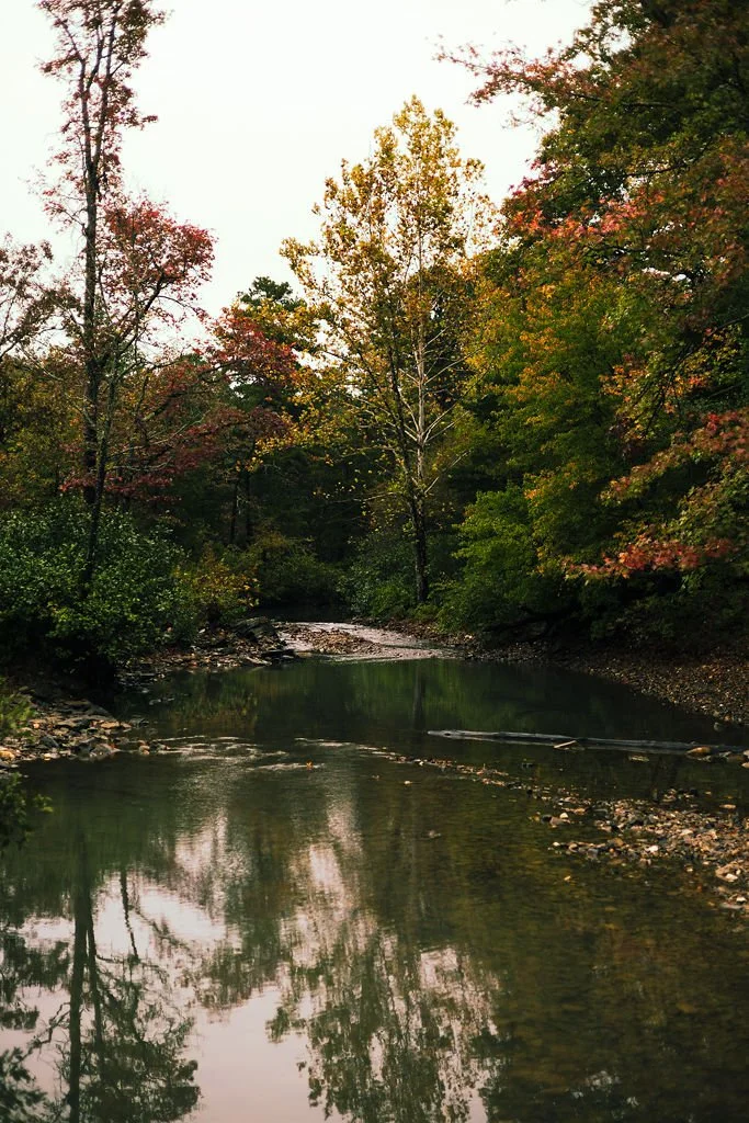 A serene river flowing through a dense forest with trees showing fall foliage, reflecting in the calm water.