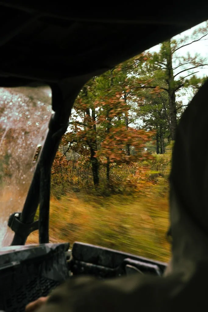 View from inside a vehicle, showing a forest with trees and autumn-colored leaves in motion blur.