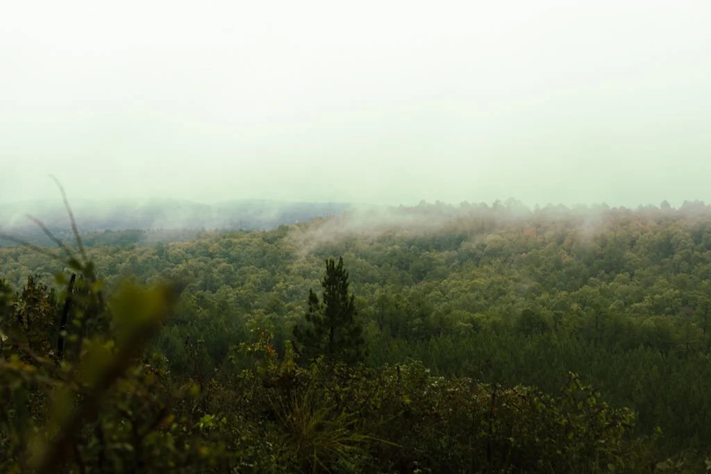 A forested landscape with smoke rising from multiple areas in the distance, under a cloudy sky.