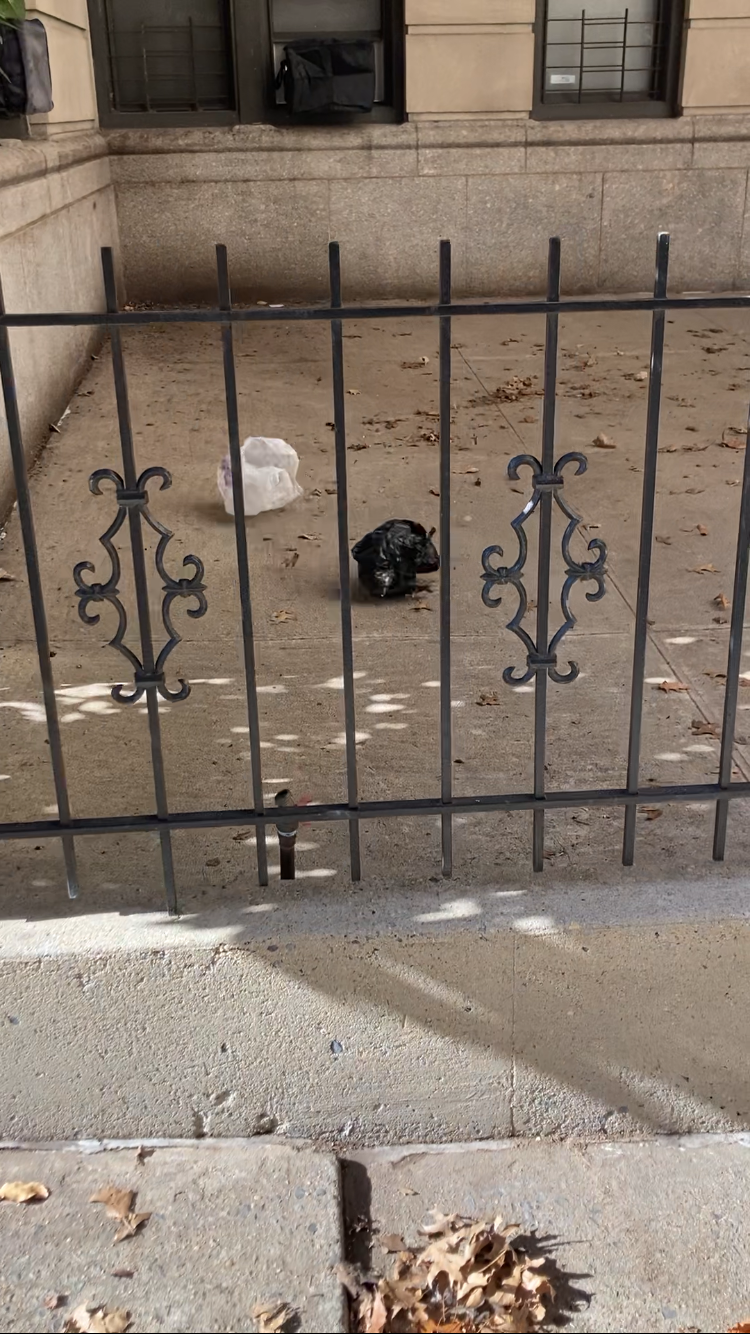 A white and black grocery bag blow around courtyard