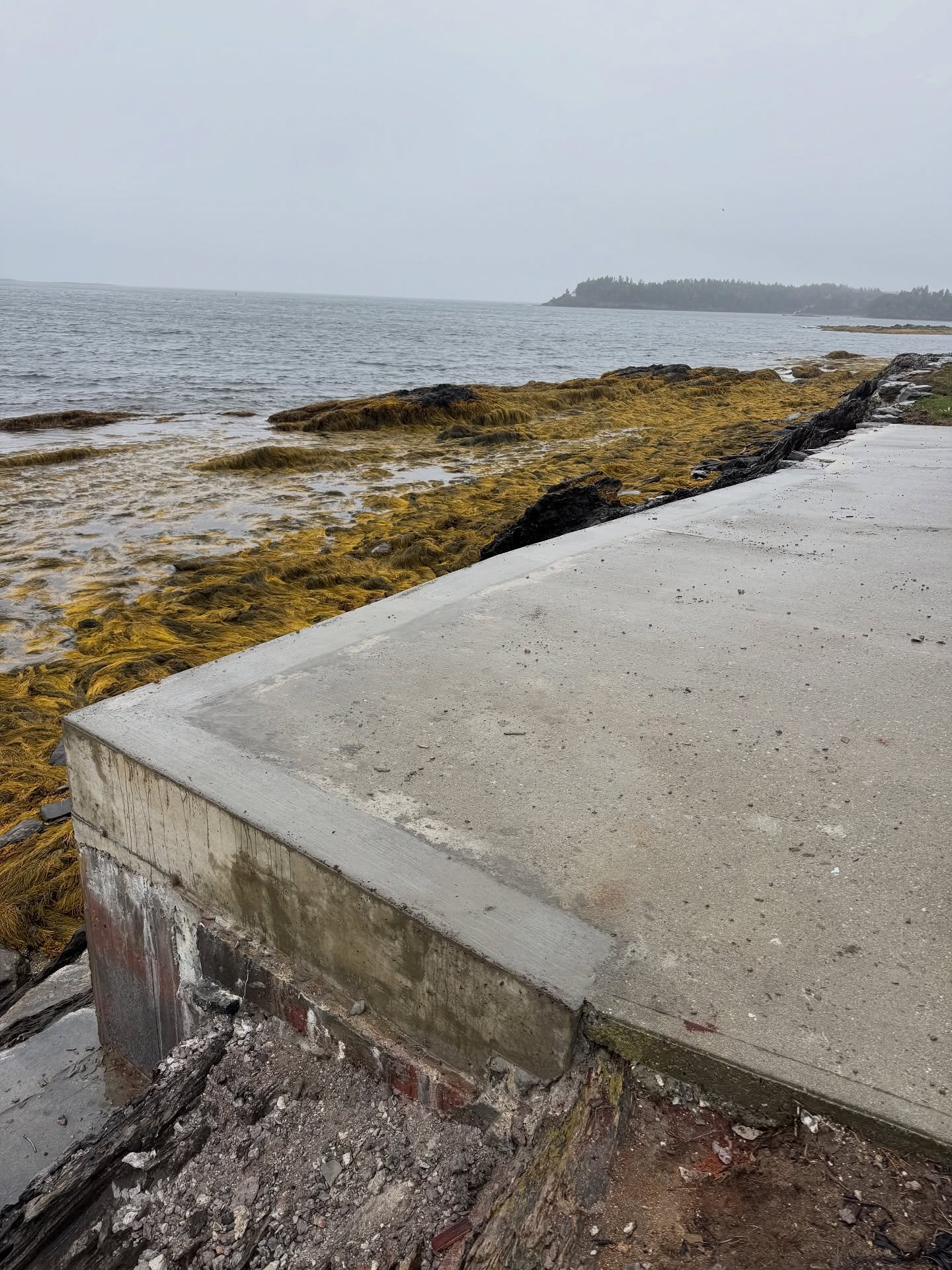 Concrete pier with weathered wood on a rocky beach, with rocks, seaweed, and ocean water in the background, and an overcast sky.