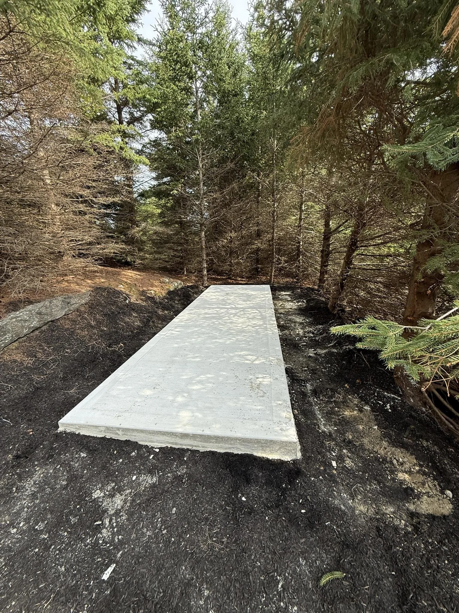 A newly constructed concrete pathway in a forested area, surrounded by trees and dark soil.