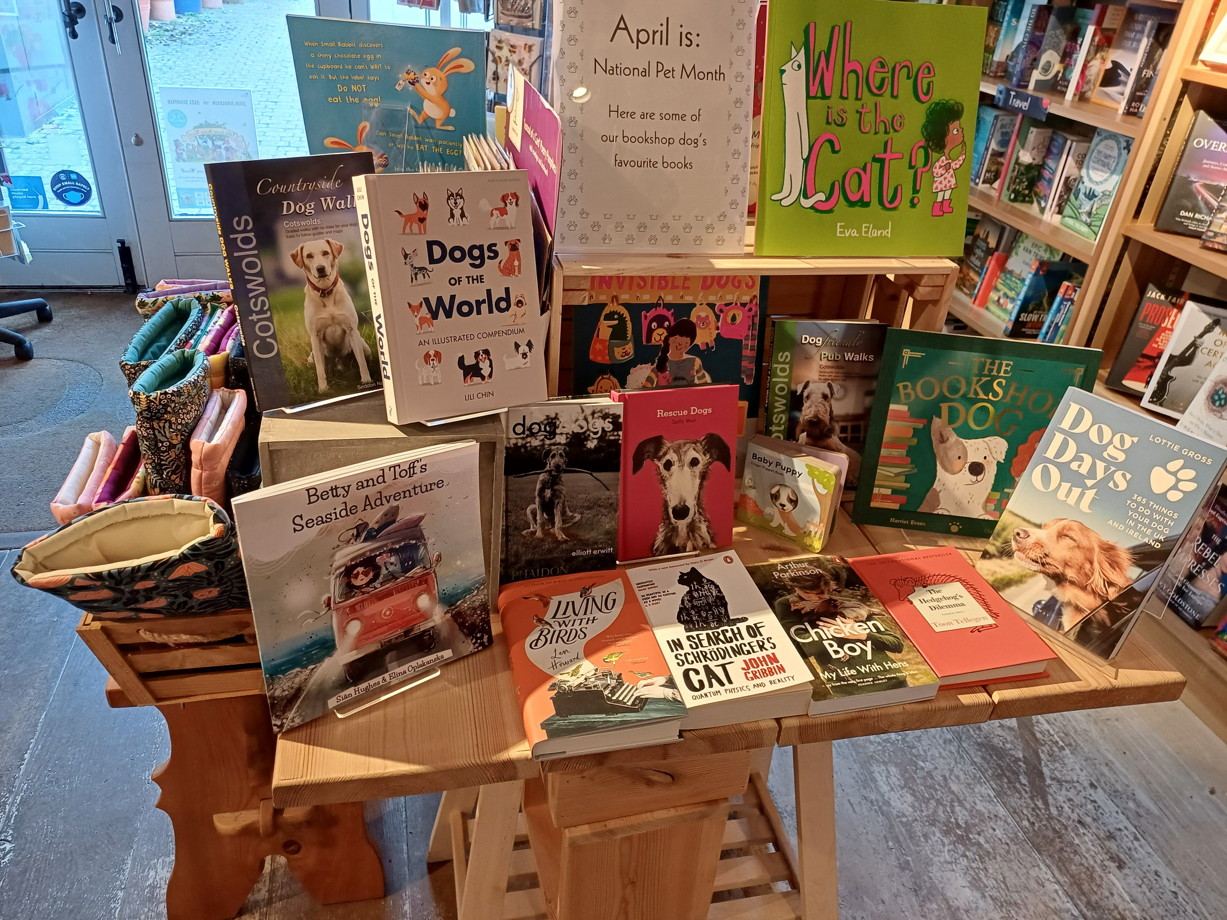 Borzoi Bookshop- photo.jpg.png