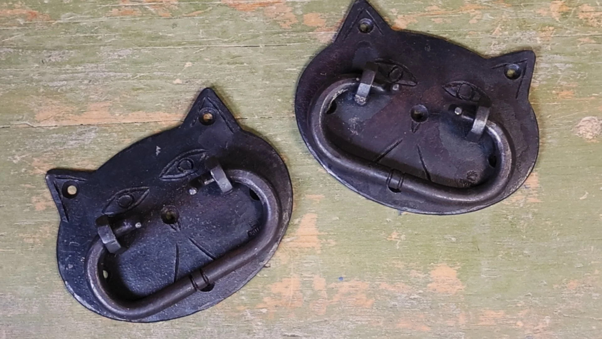 Megan's cats - chest lifts