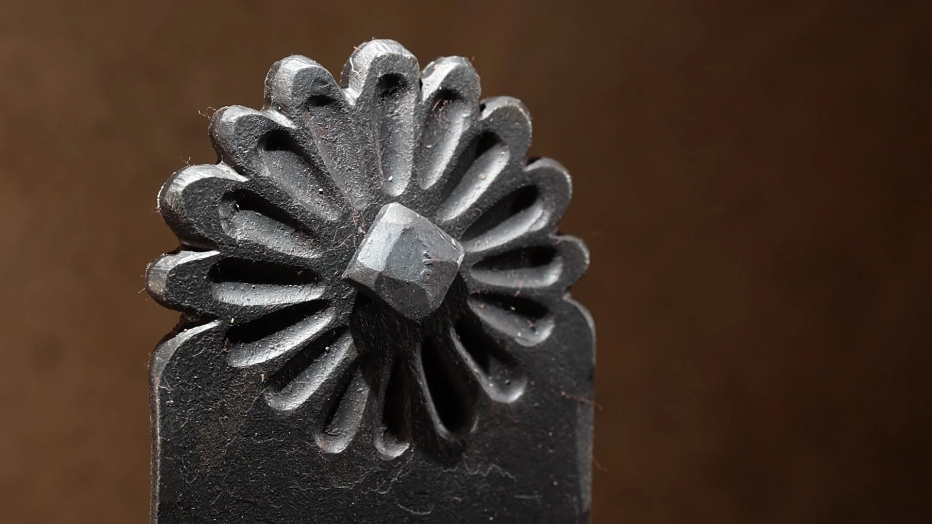 close up_1.117.1.jpg