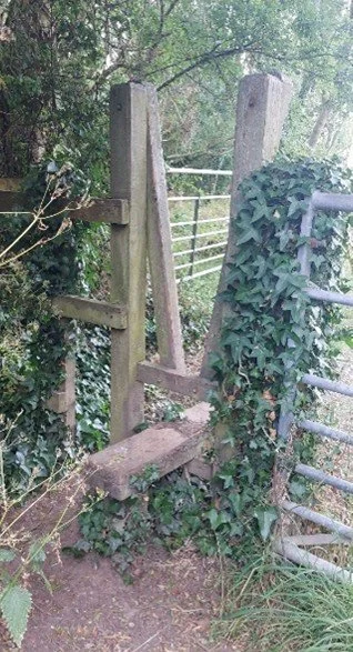 Squeeze Stile.jpg