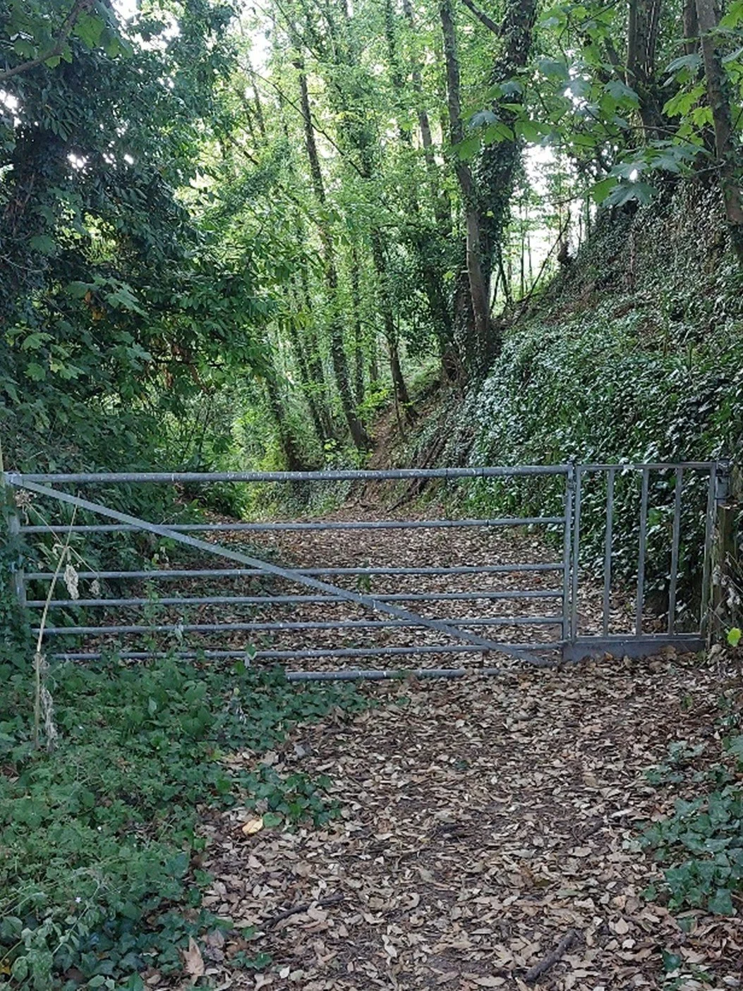 Bristol Gate.jpg