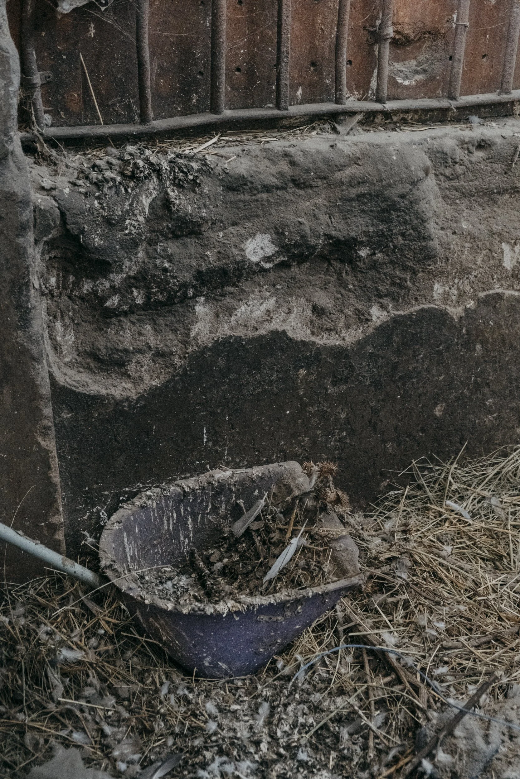 DSCF6592.jpg