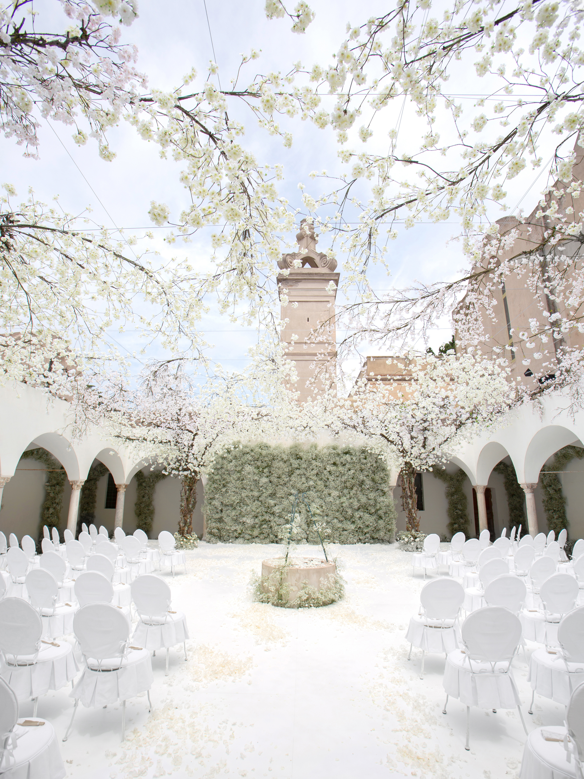 Delesie_Carly_WED 1036.png