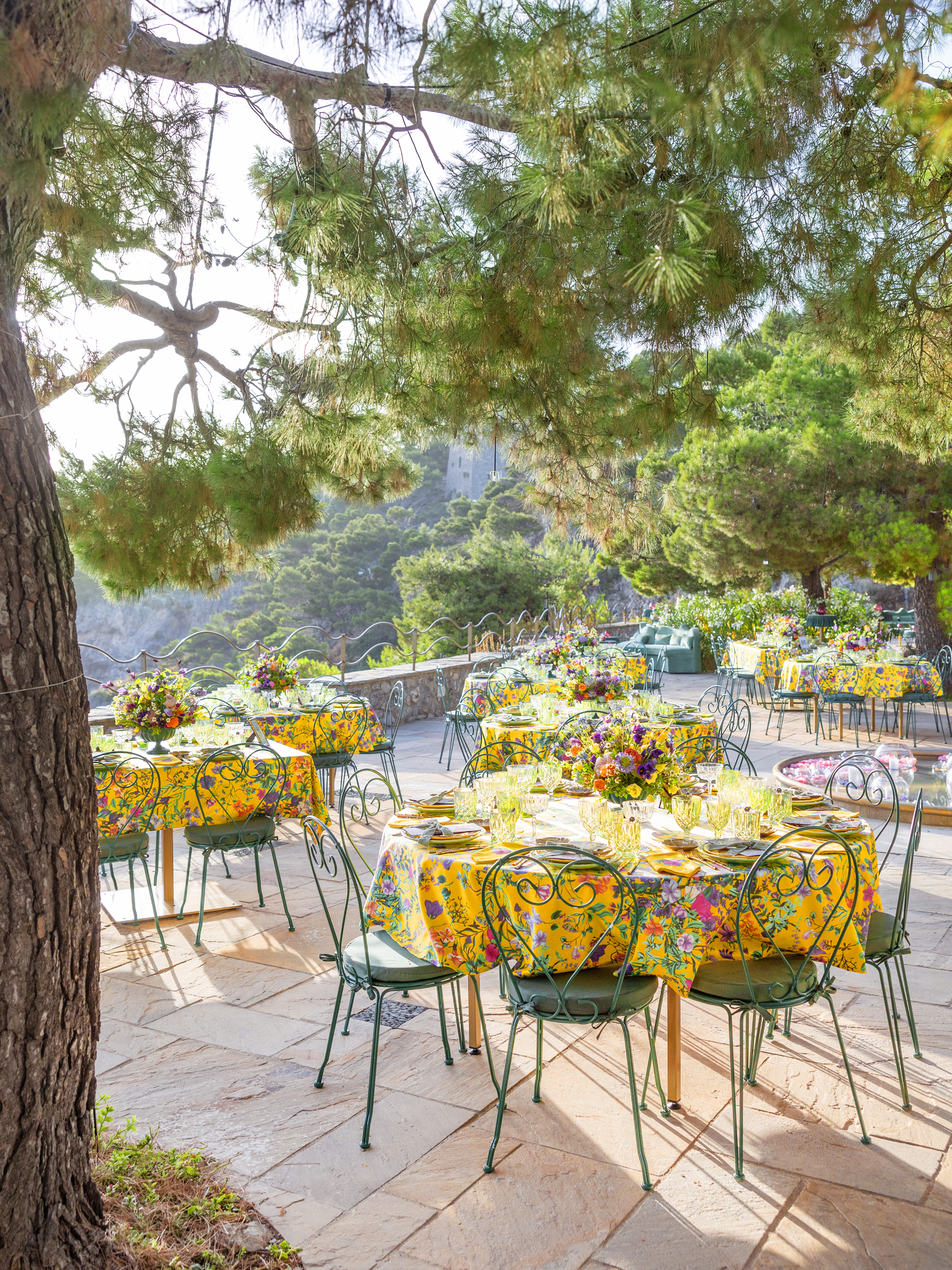 Delesie_Carly_WED 1095.png