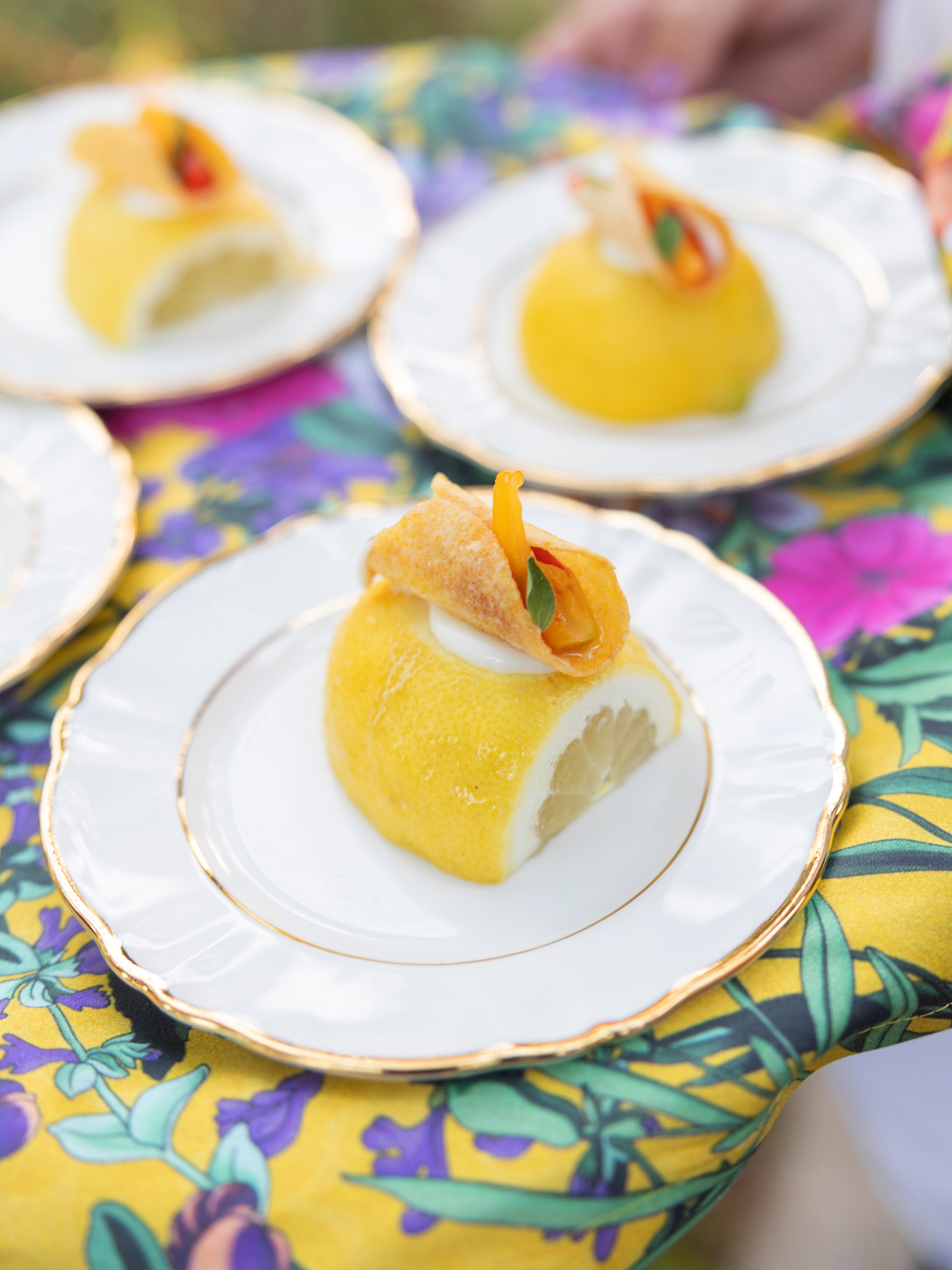 Delesie_Carly_WED 1113.png