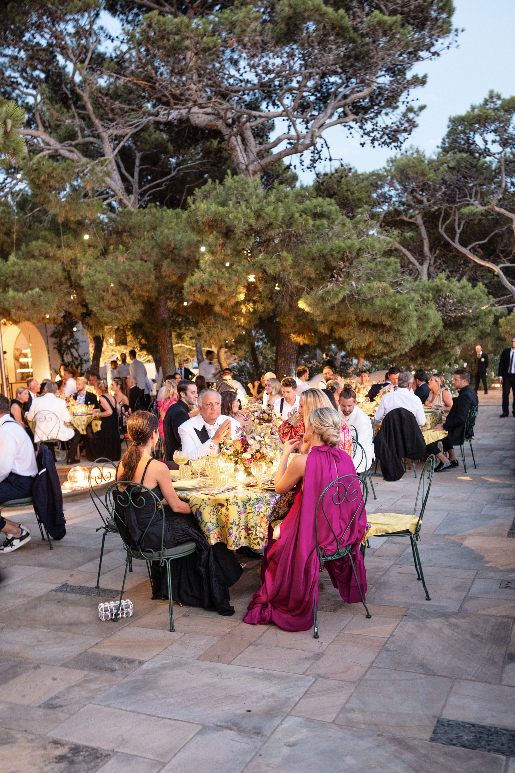 Delesie_Carly_WED 1131.png