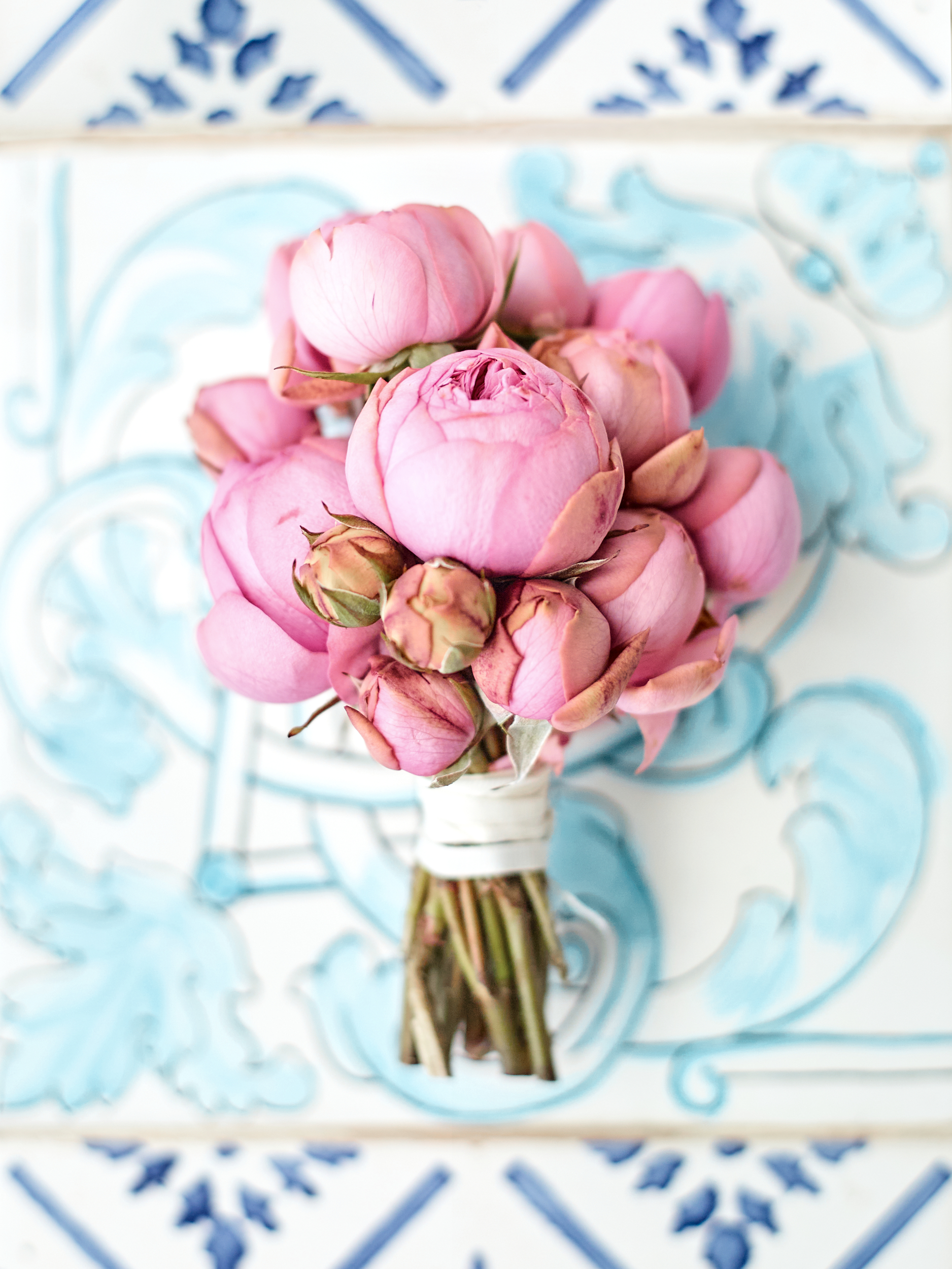 Delesie_Carly_WED 1012.png