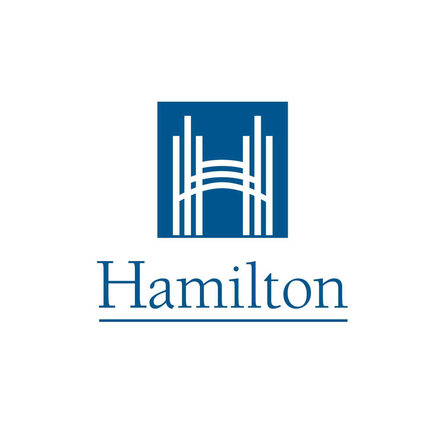 City of Hamilton - Engagement and Community Strategies