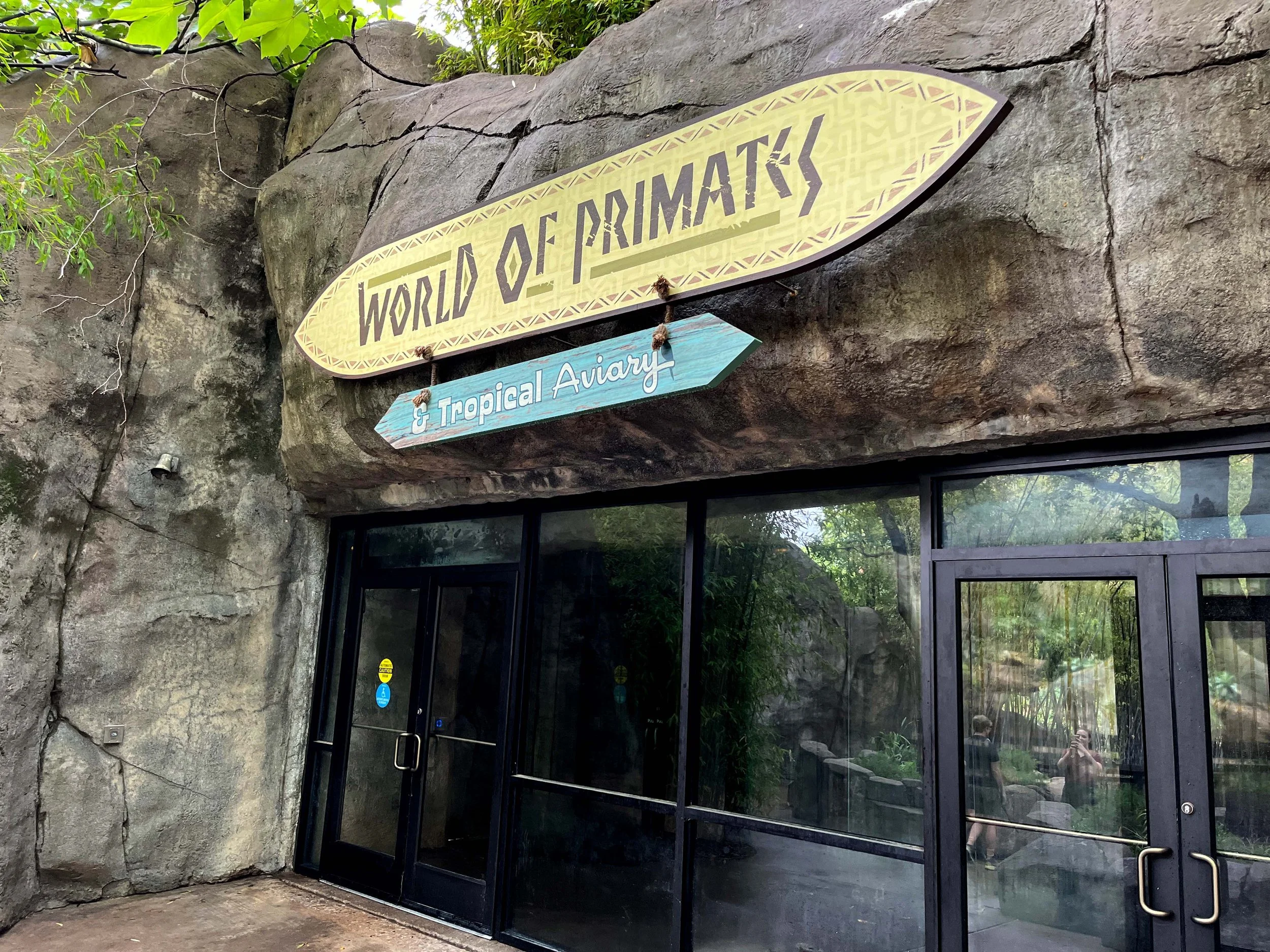 643335c73030fd8aa6d8588e_IMG_5268 (1).jpg