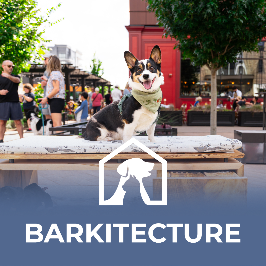 A happy dog sitting on a bench in a busy outdoor area with people, trees, and buildings visible in the background. The dog is wearing a green bandana that says "I am an autumn". The image includes a logo of a dog's head inside a house outline with the word "BARKITECTURE" below.