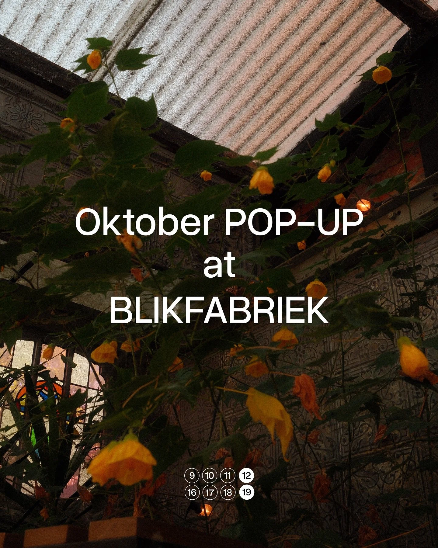 With our kitchen under renovation this October, we&rsquo;re taking it on the road to Blikfabriek for a special pop-up.

Dates: 9, 10, 11, 12 &amp; 16, 17, 18, 19 October

Diner &rarr; 9, 10, 11 &amp; 16, 17, 18 
reservations from 18:00 - 20:30 Matine
