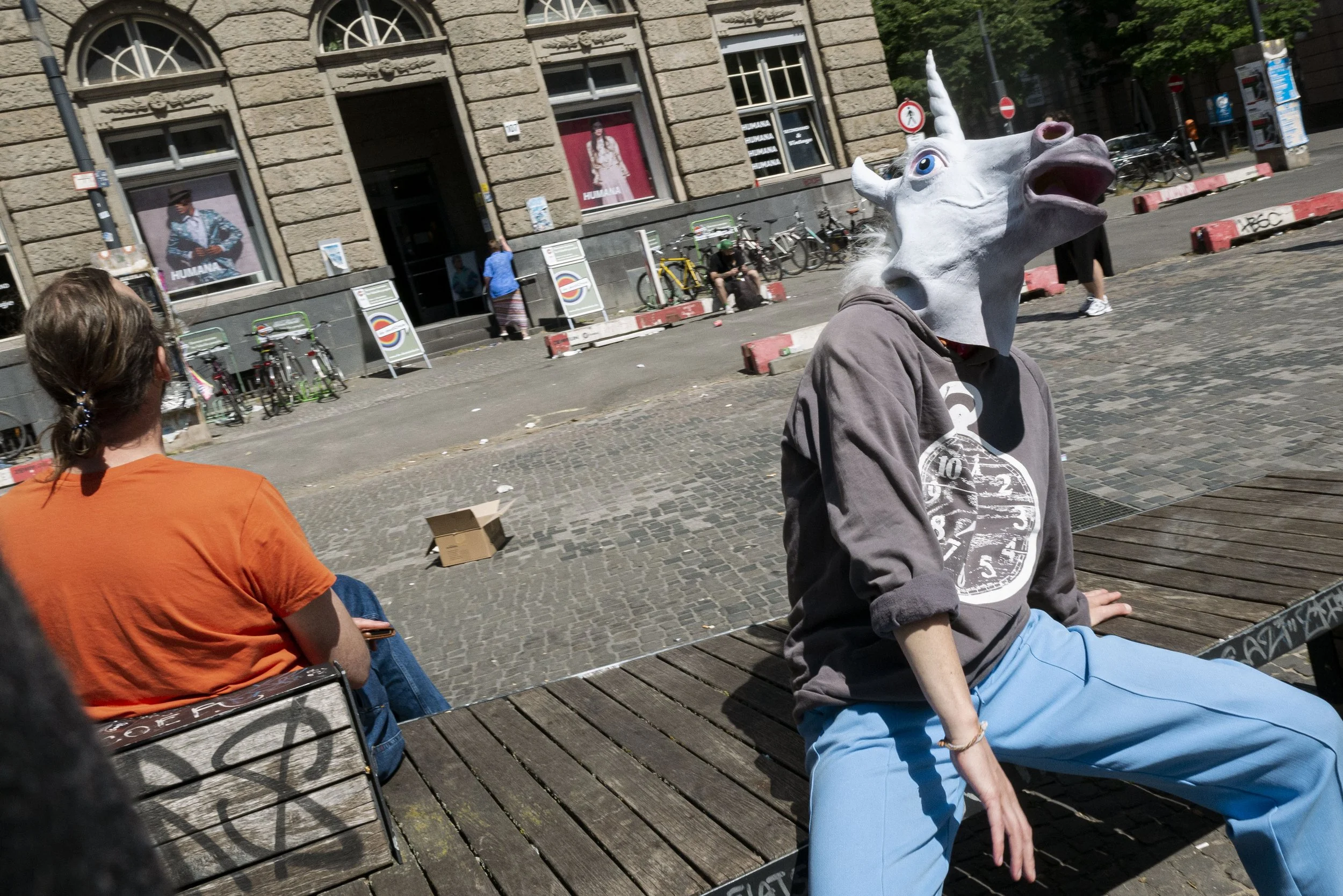 _1160471horsesuprise .jpg