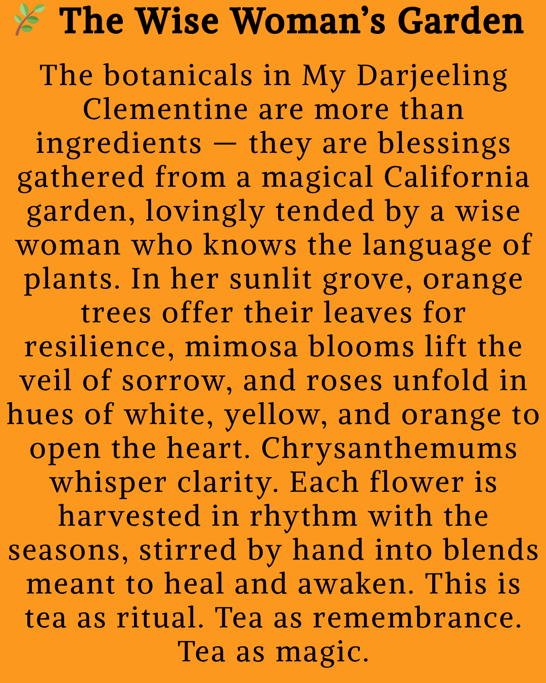 My Darlin’ Clementine - 2.png