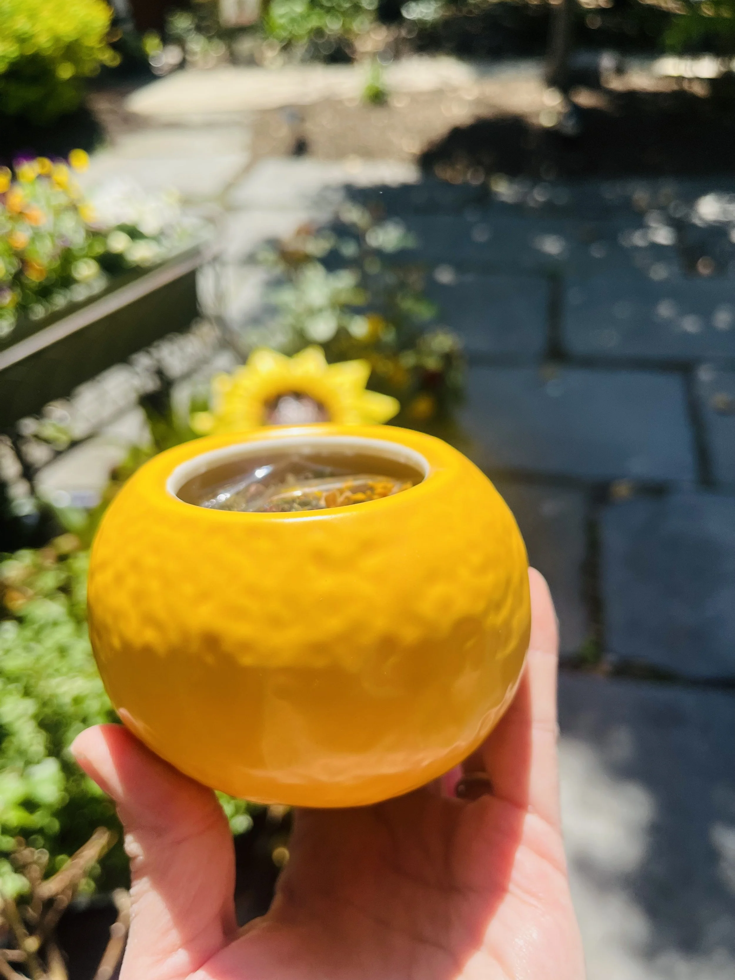 IMG_8419.jpeg