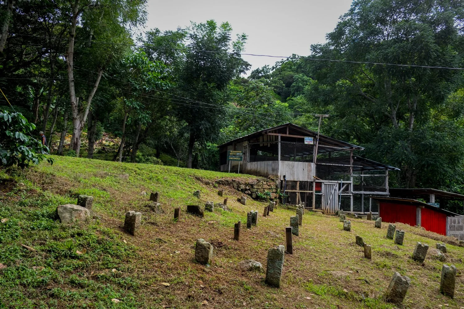 Matagalpa_Nicaragua_29-10-2014-40-1.jpg