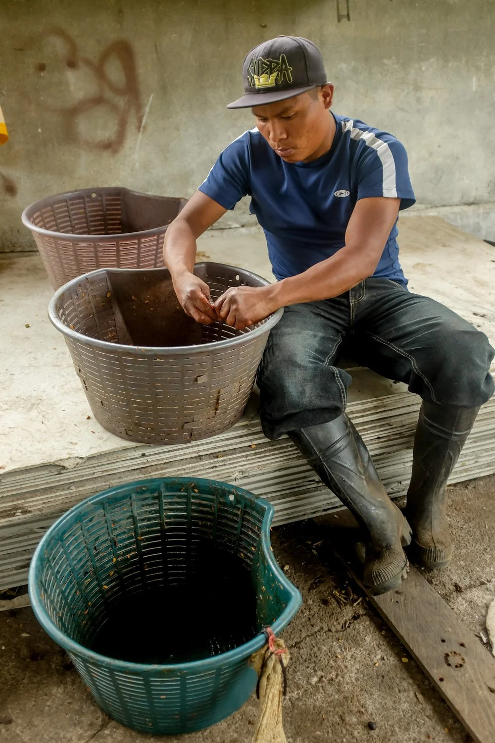 FST_Volcan, Chiriqui - Panama 04-03-2016-26-29.jpg