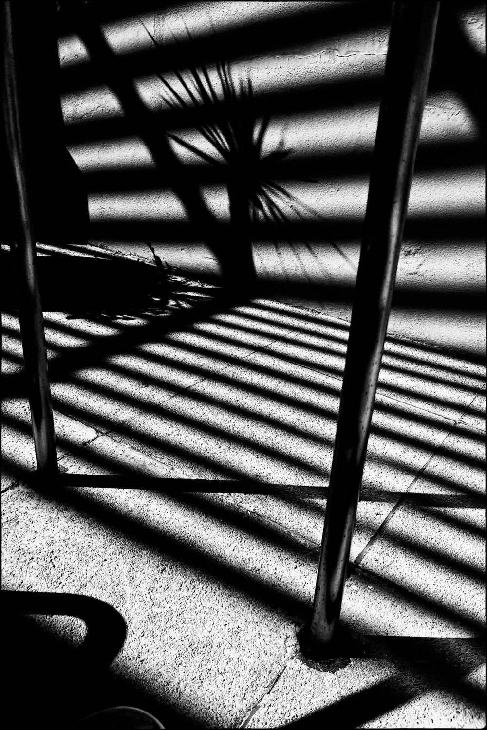 Presagios de la Luz-37.jpg