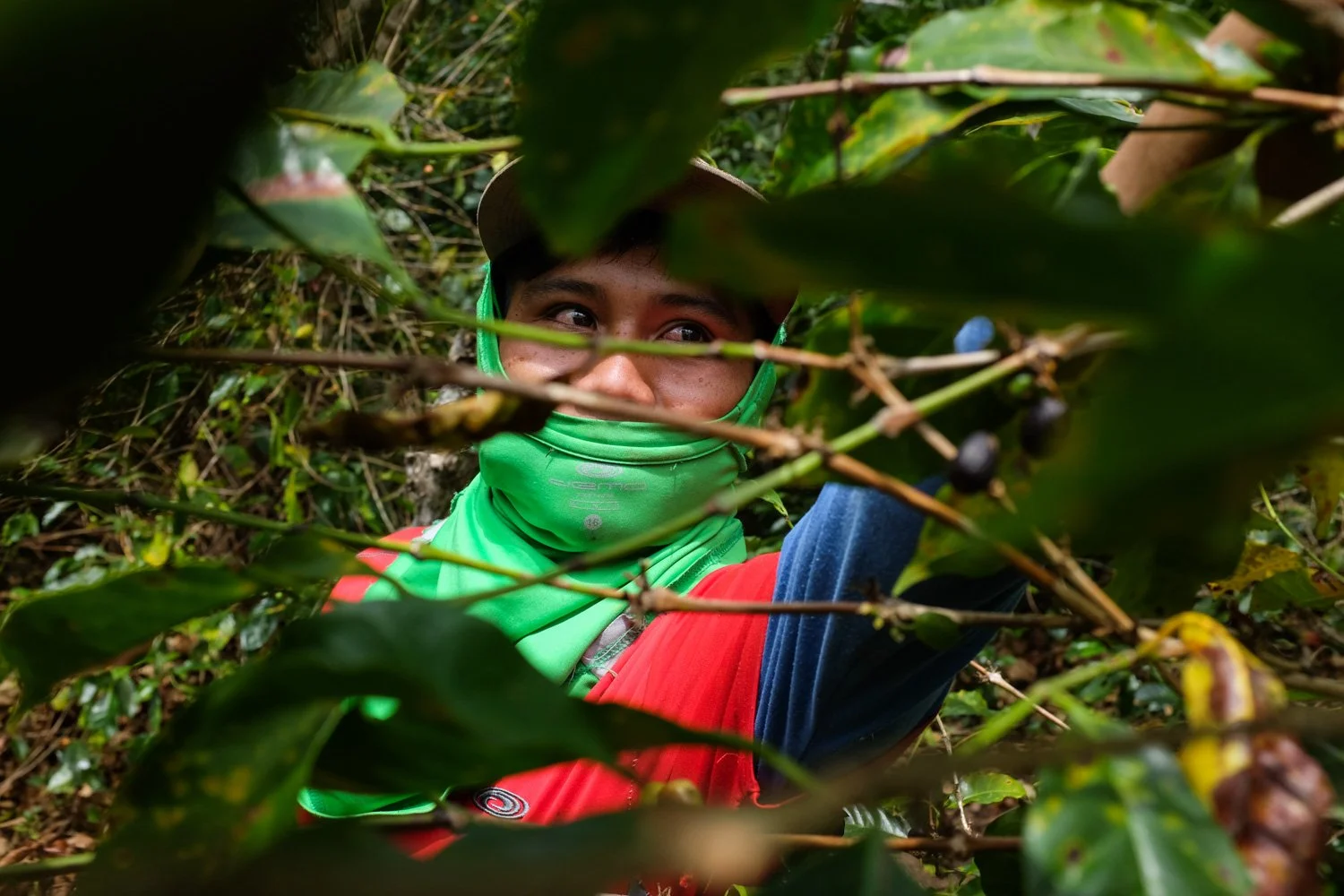 FST_Volcan, Chiriqui - Panama 04-03-2016-2-2.jpg
