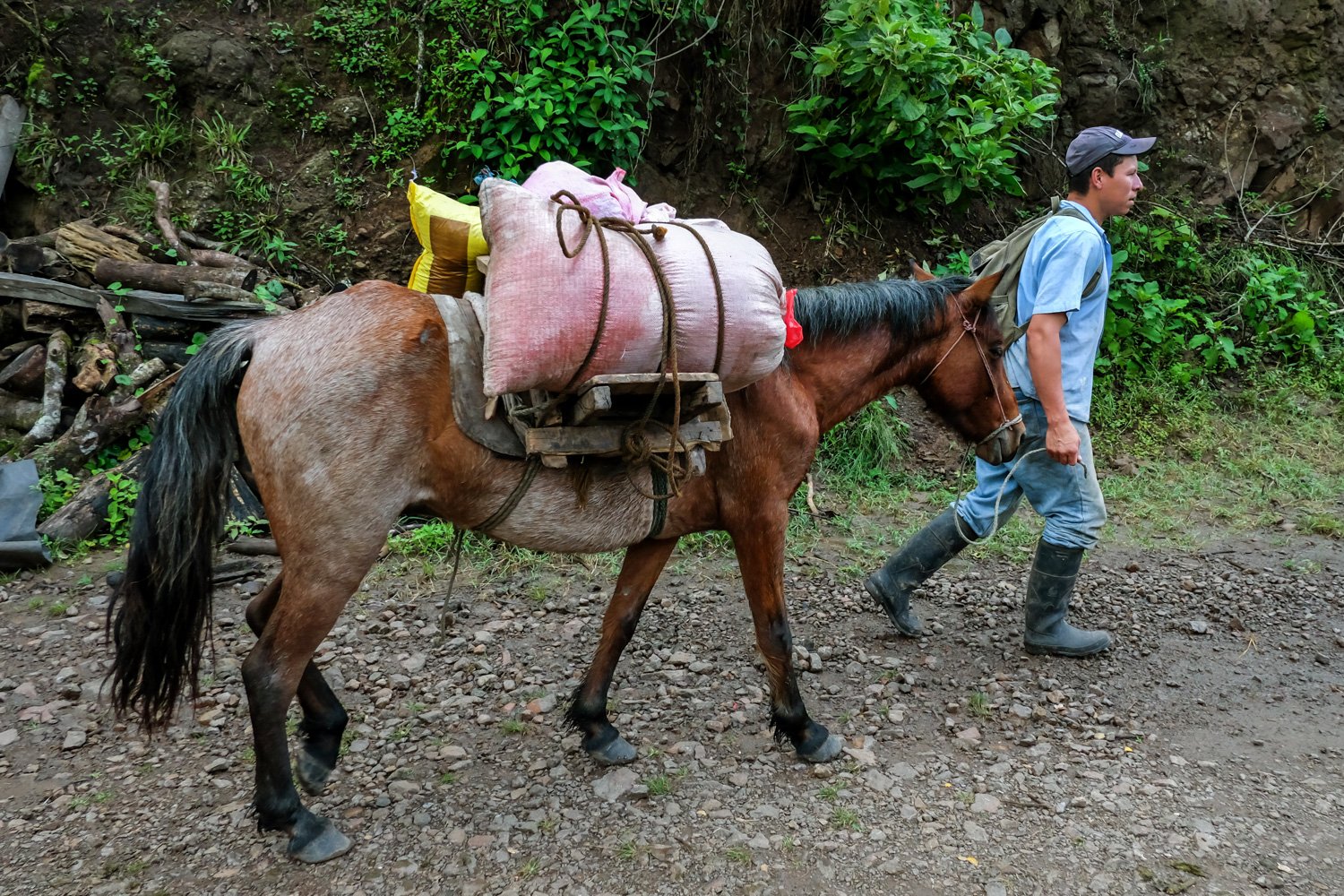 Yalí_Jinotega_Nicaragua_30-10-2014-21-1.jpg
