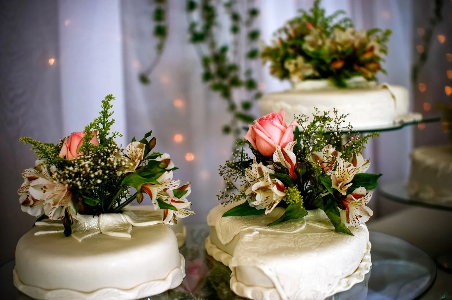 Susana & Zdenko-27.jpg