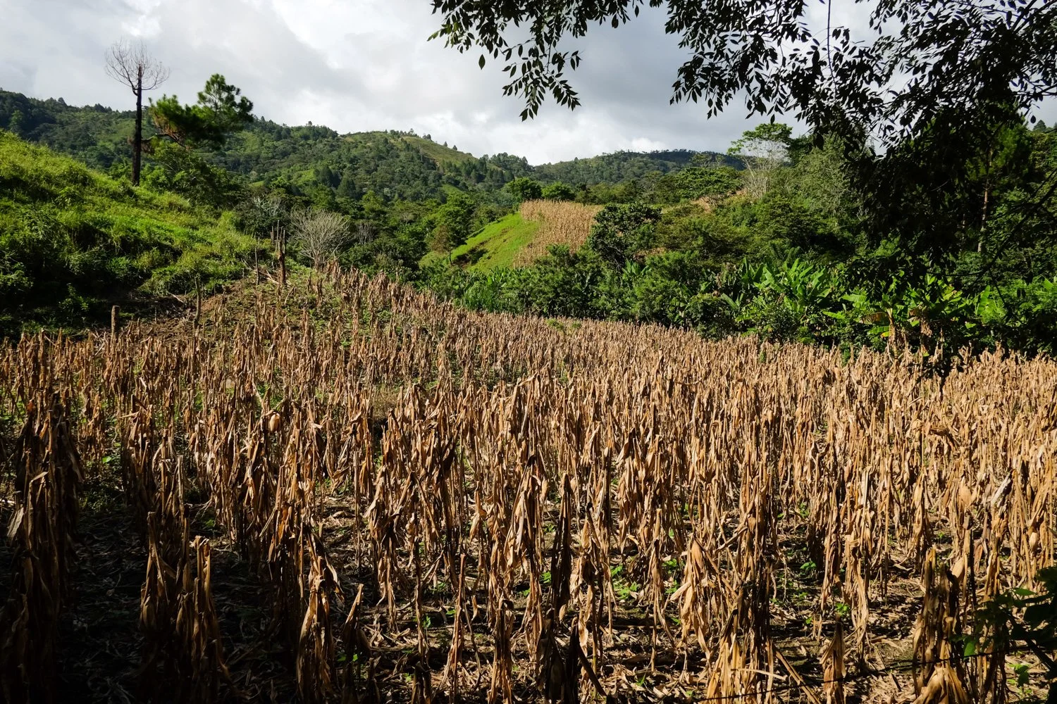 Yalí_Jinotega_Nicaragua_30-10-2014-73-15.jpg