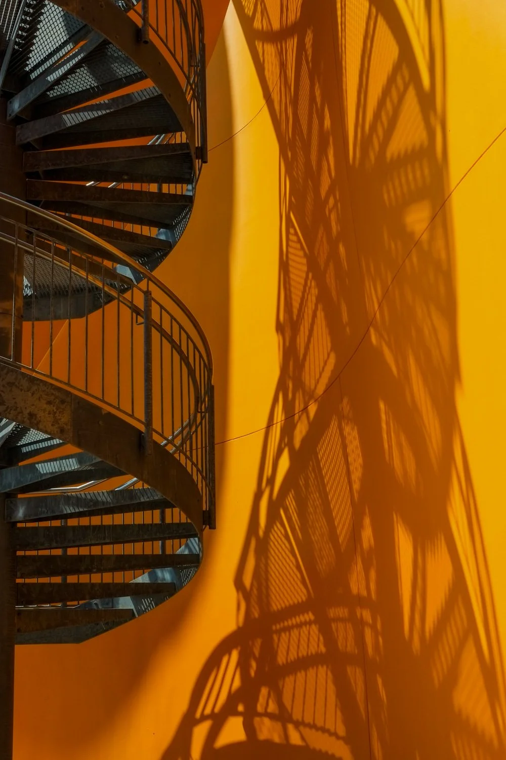 Copia de Opening_Biomuseo_Panama_30-09-2014-38-37.jpg