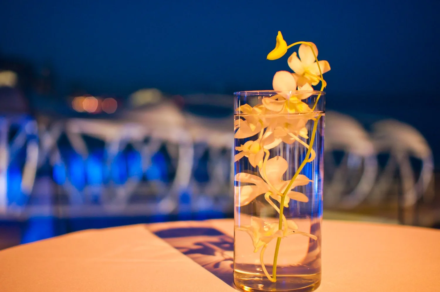 Turning Science into Caring_ABBOTT_Panama_18-09-2012-227-9.jpg