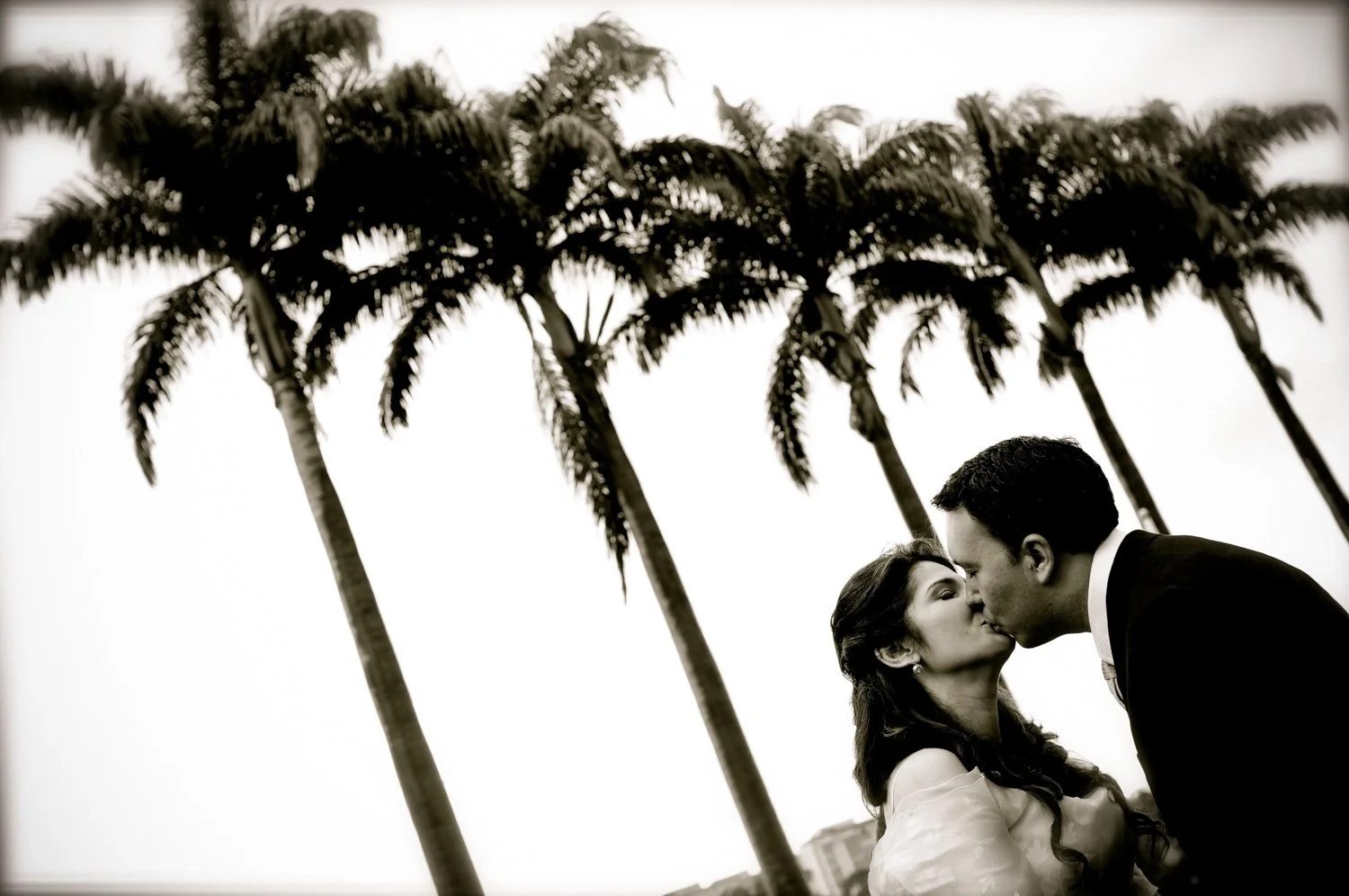 BODA DE SUSANA & ZDENKO