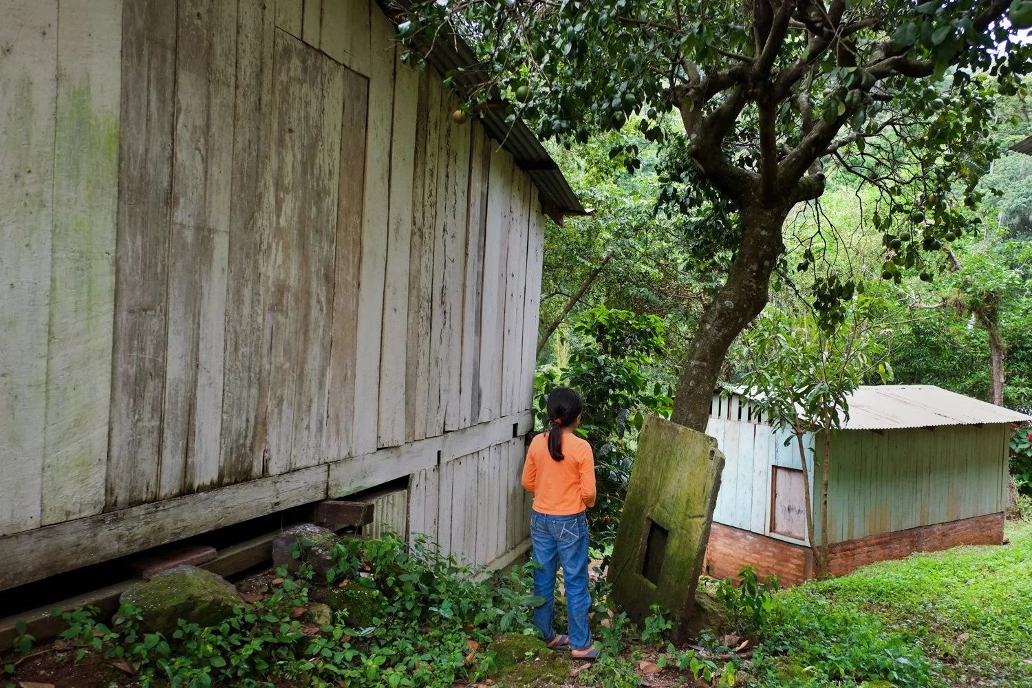 Matagalpa_Nicaragua_29-10-2014-54-6.jpg