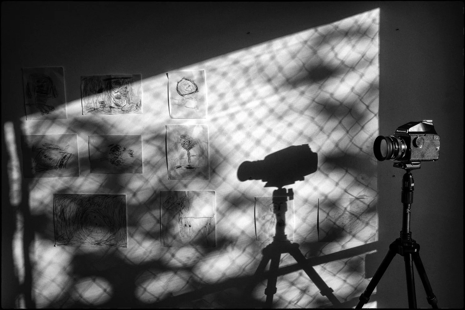 Presagios de la Luz-6.jpg