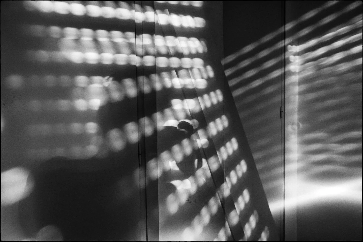 Presagios de la Luz-19.jpg