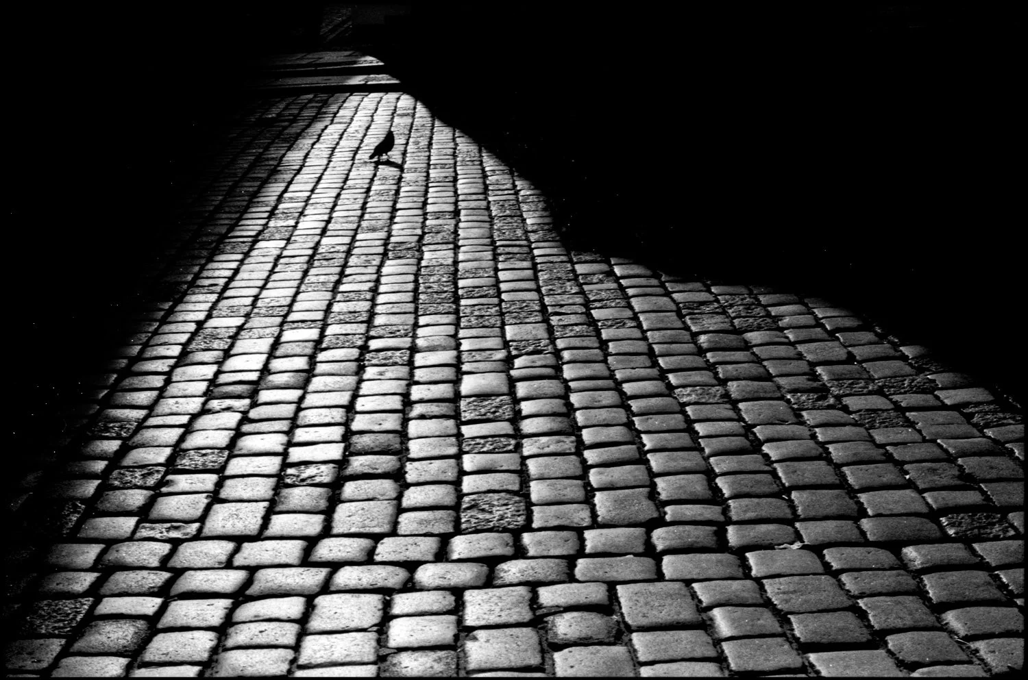 Presagios de la Luz-4.jpg