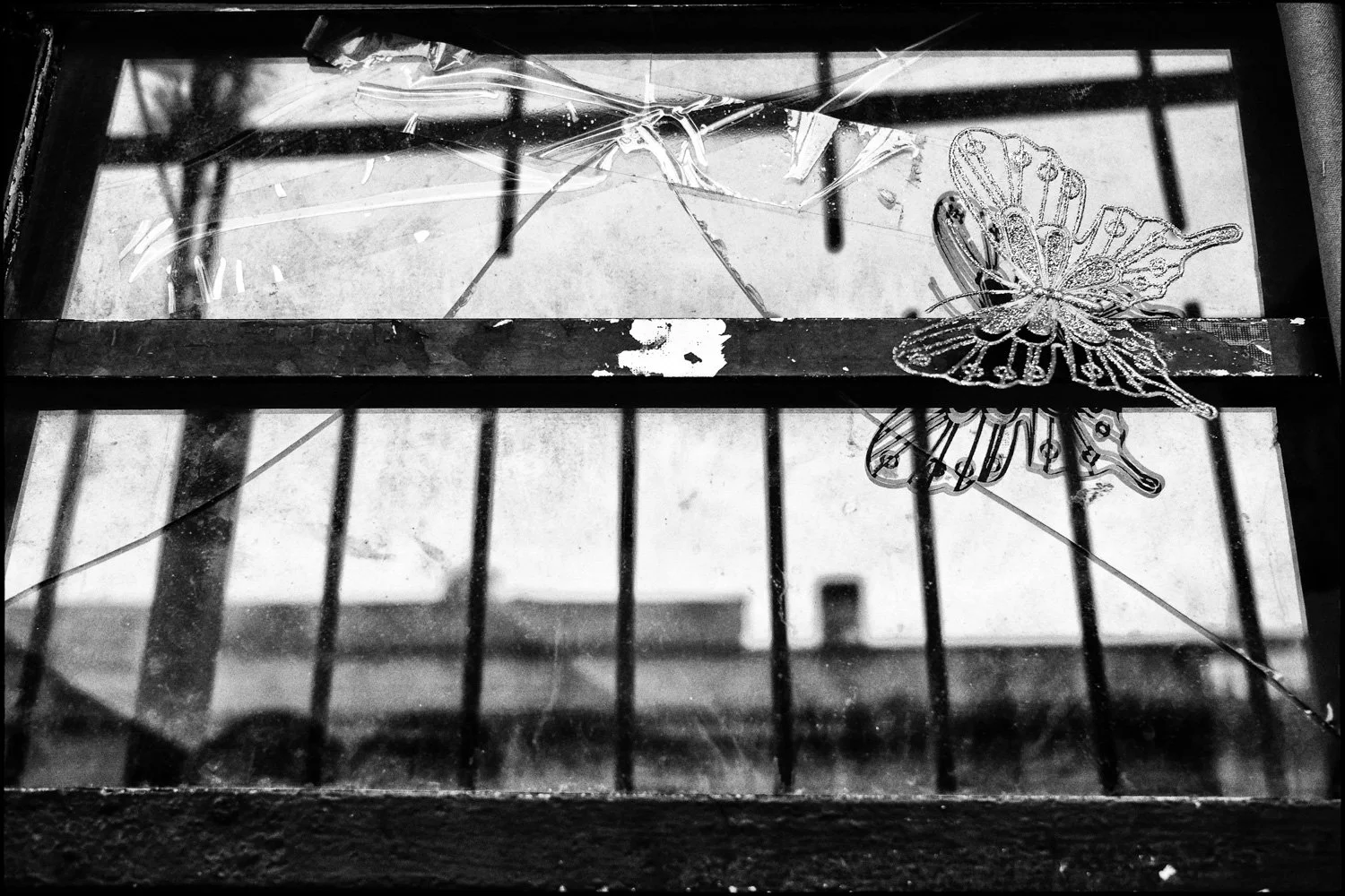 Presagios de la Luz-34.jpg