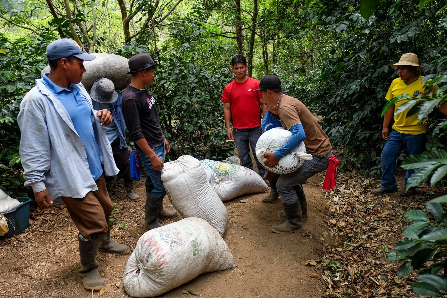 FST_Volcan, Chiriqui - Panama 04-03-2016-154-14.jpg