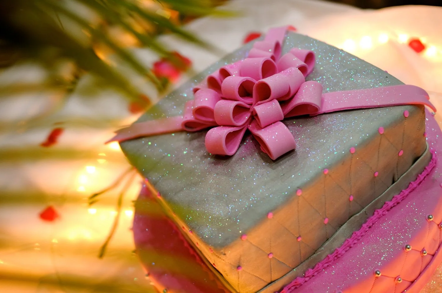 Quinceaños de Daniela-22.jpg