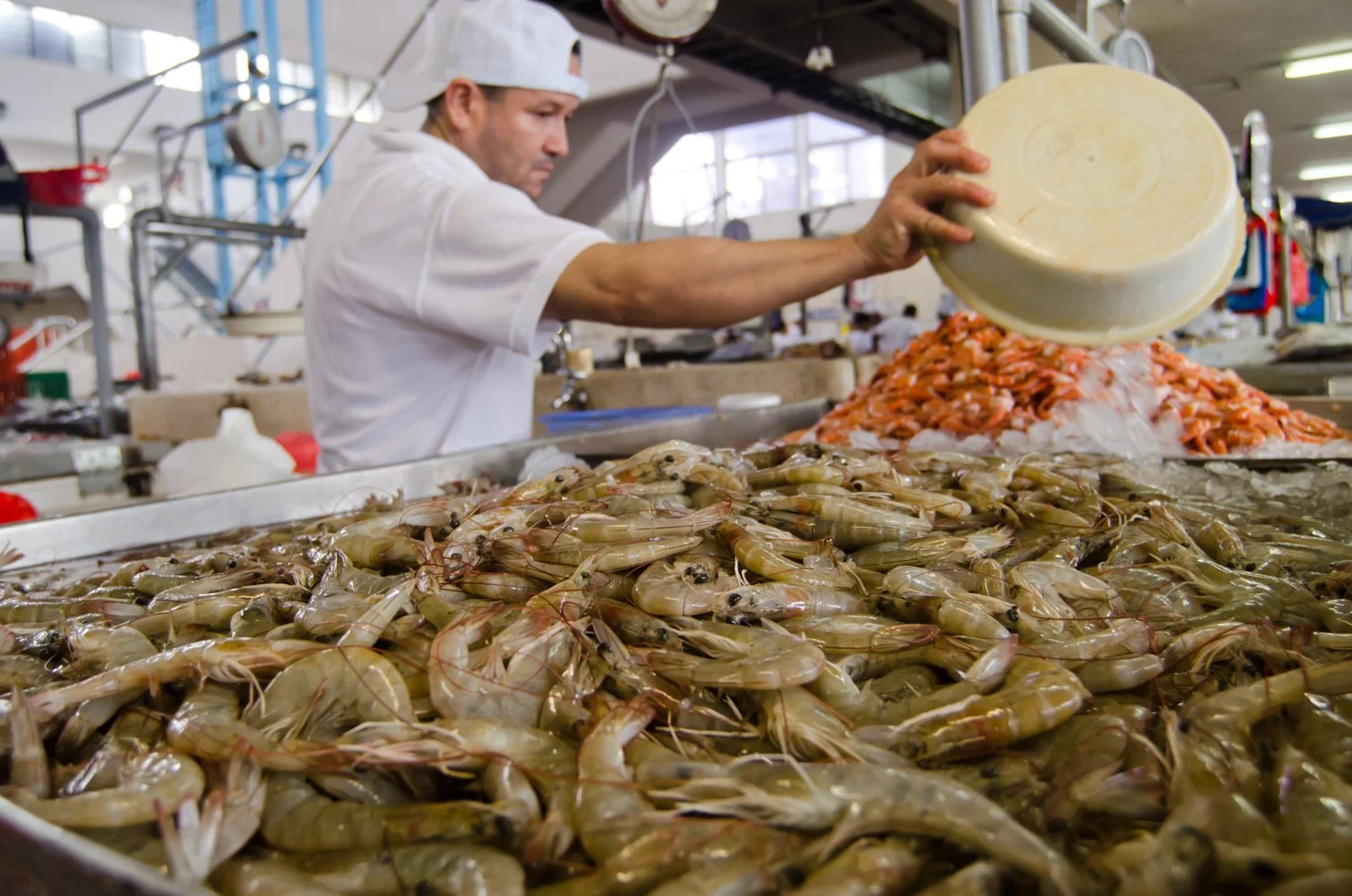 Mercado_Mariscos_Panama_09-2013-19-10.jpg