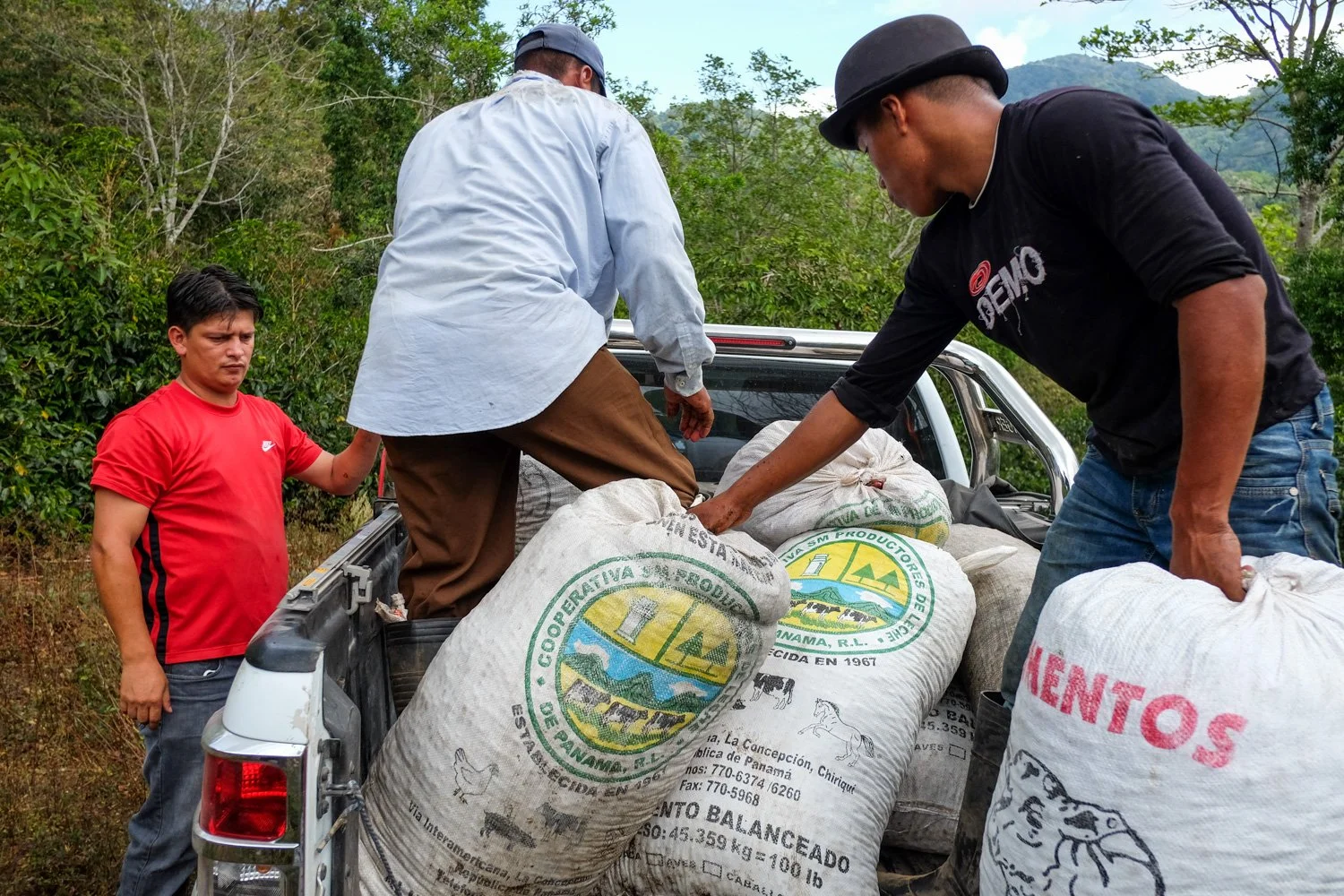 FST_Volcan, Chiriqui - Panama 04-03-2016-162-16.jpg