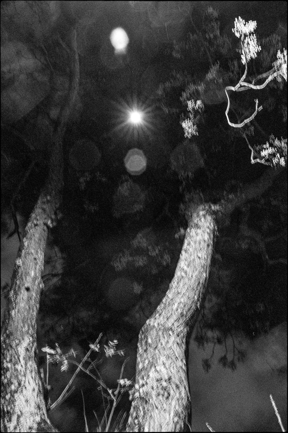 Presagios de la Luz-39.jpg