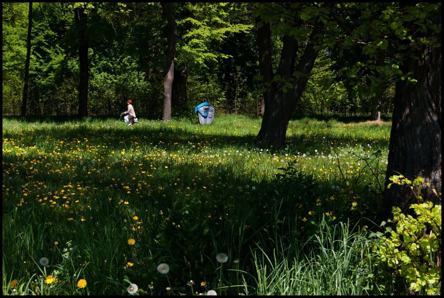 NATURALEZA_POLONIA_2008-12.jpg